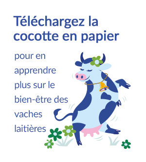 Téléchargez la cocotte pour en apprendre plus sur le bien-être des vaches laitières