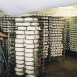 Manutention salle de fromages en salage