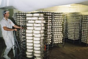 Manutention salle de fromages en salage