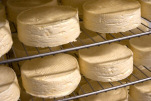 Fromages sur grille pour affinage