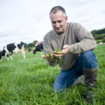 Eleveur herbe prairie vache prim'holstein
