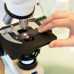 microscope laboratoire