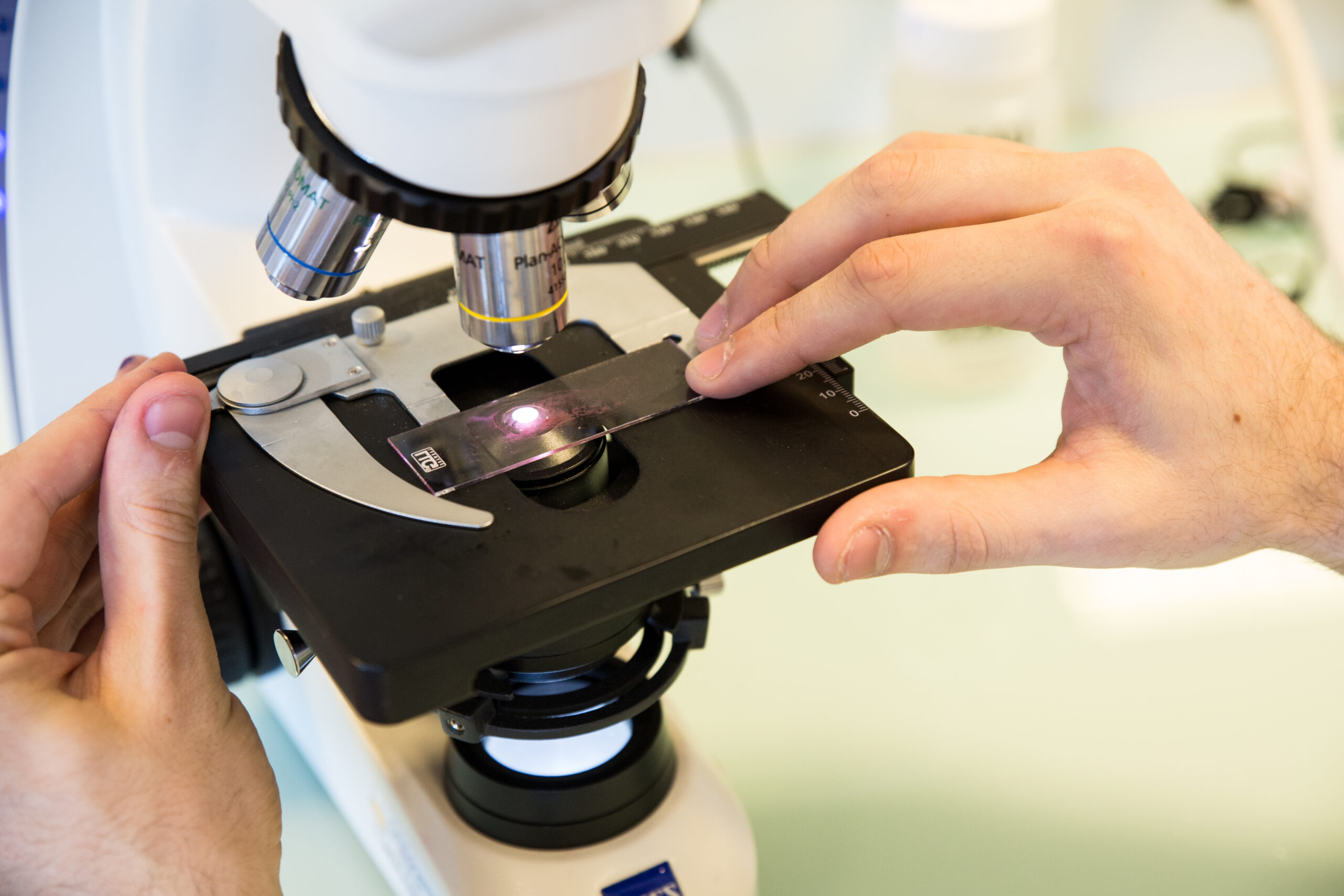 microscope laboratoire