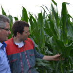 conseiller vaches maïs fournisseur