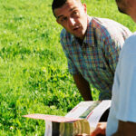 Herbe homme prélévement prairie