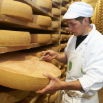 Cave d'affinage de comté avec affineur