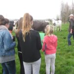 Etudiants et éléveur champ vache