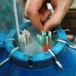 Inseminateur vétérinaire paillettes