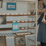 Musée affinage des camemberts