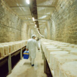 homme dans Cave d'affinage