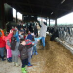 Enfants stabulation