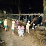 Enfants stabulation