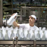 Homme chaine embouteillage lait