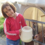 Enfant et veau buvée