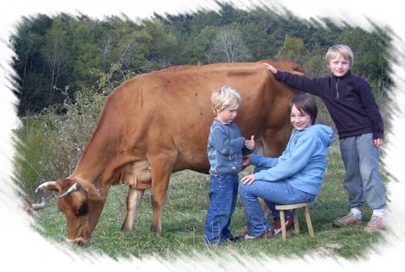 Enfants et vache style photo