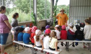 Atelier enfant dégustation stabulation ferme du bois des 12 deniers