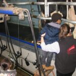 Enfants visite salle de traite