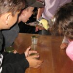 Enfants visite fabrication beurre motte