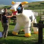 Vache gonflable dans champ. Ferme du Rialet