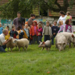 Visite pédagogique, enfants, éleveur cochons et brebis, Lieu Roussel