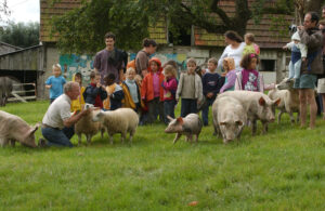 Visite pédagogique, enfants, éleveur cochons et brebis, Lieu Roussel