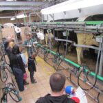 Visite pédagogique salle de traite ferme Mionet