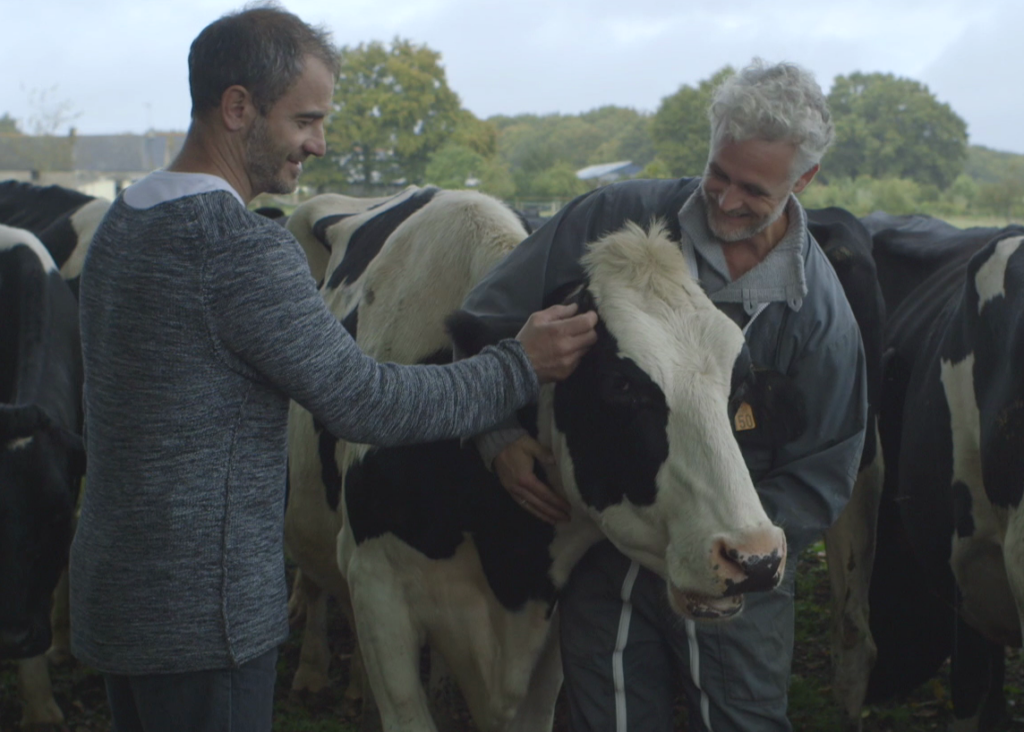 c-est-quoi-une-vache-capture