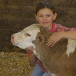 Jeune fille et veau montbelliard