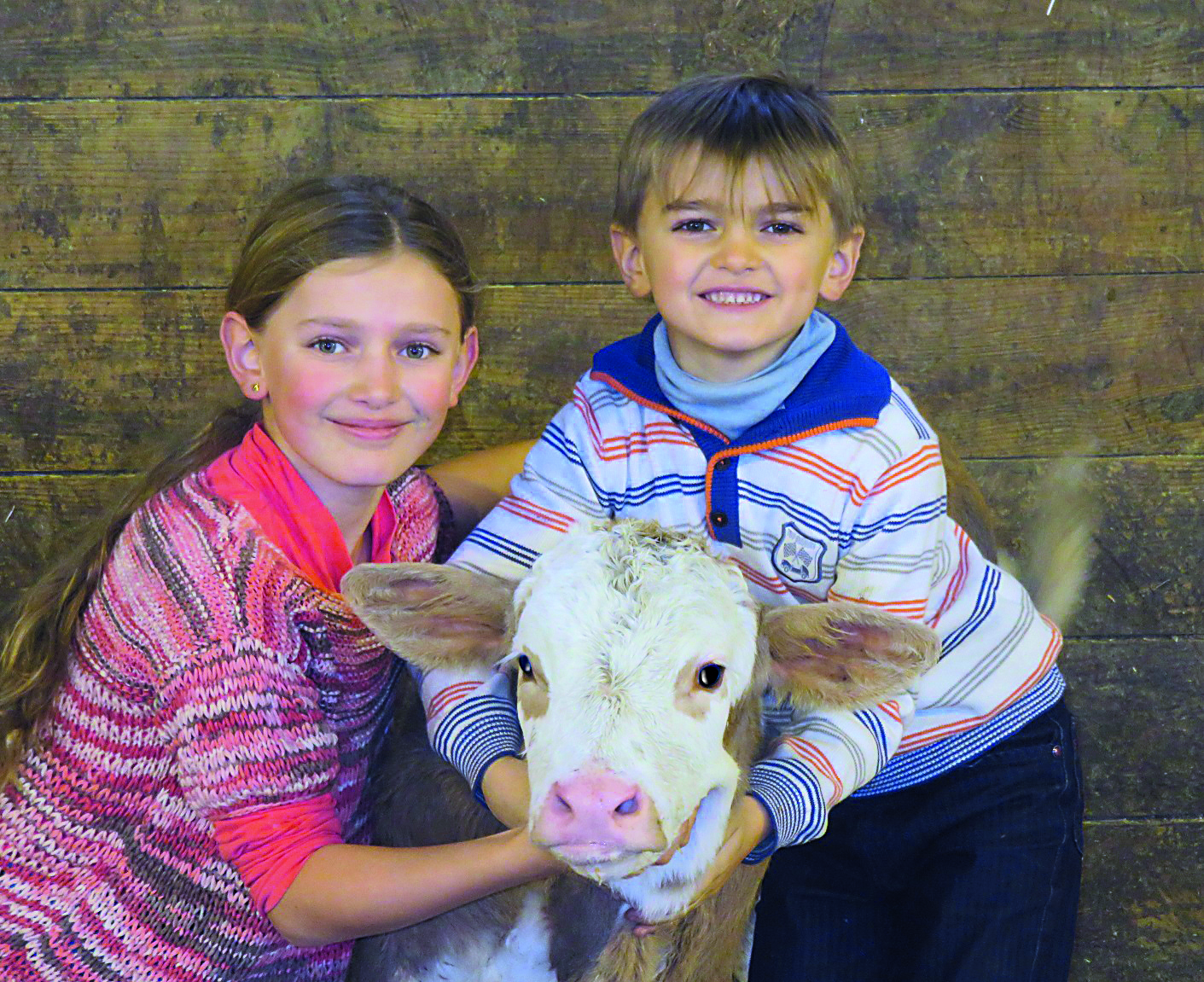 Enfants et veau montbelliard