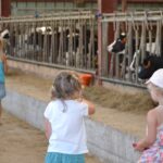 Petites filles de dos dans stabulation