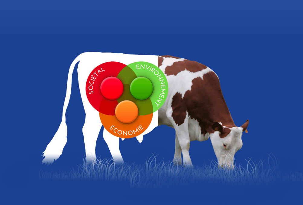Vache - Exposition EDD