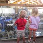 2 enfants de dos regardent la traite