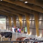 visite de ferme groupe dans stabulation
