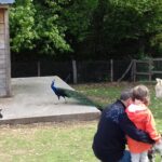 enfants et animaux de la ferme