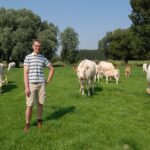 Eleveur dans pré avec vaches allaitantes, viande