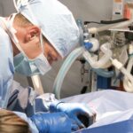 vétérinaire au bloc, opération