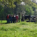 Eleveur et élèves dans prairie, pré, vaches