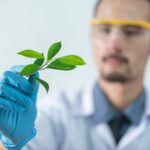 Laboratoire plante ingénieur essai