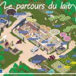 Le parcours du lait