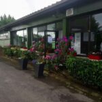 Magasin à la ferme, boutique, fleurs, vente directe