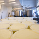 Usine de fromages, moules, tommes, tank