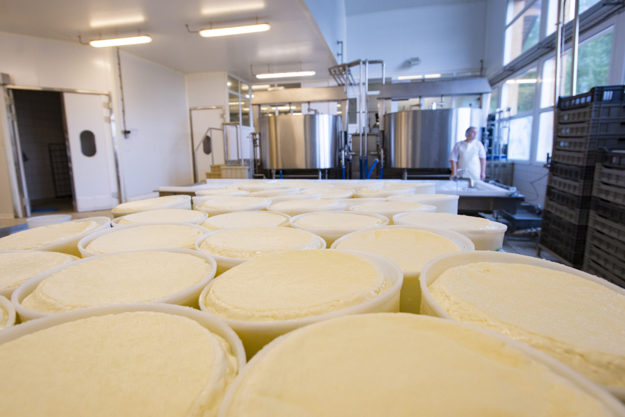 Usine de fromages, moules, tommes, tank