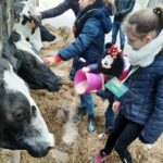 Enfants à la ferme, visite, stabulation, Prim'Holstein