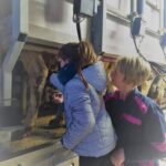 Enfant et éleveuse salle de traite, vache, visite, traite