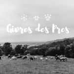 Champs paysage vaches herbe noir et blanc