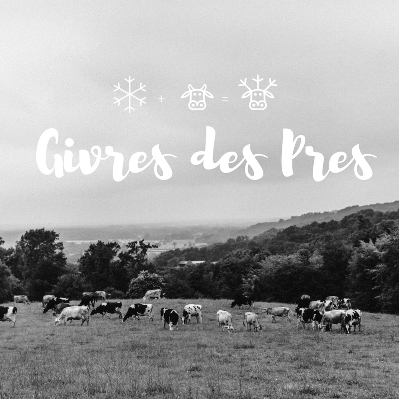 Champs paysage vaches herbe noir et blanc