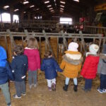 Enfants, visite, etable, stabulation, ferme pédagogique