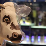 Lactopôle, cité du lait, musée, maquette, vache en résine,