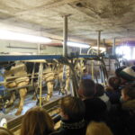 salle de traite, pédagogie, éleveur, scolaire, élèves, école, visite, ferme