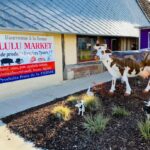 vache en résine, boutique, produits fermiers